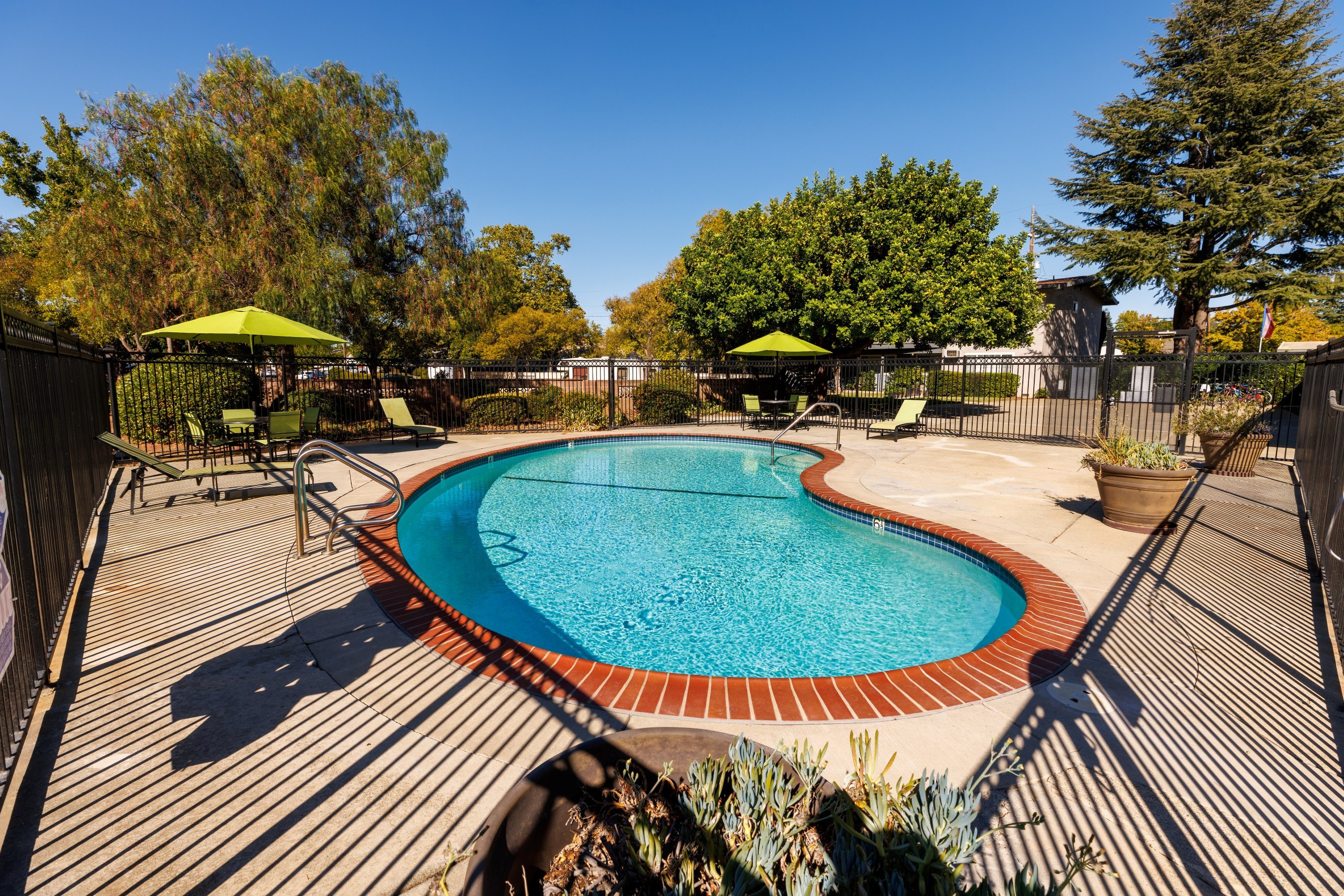 Catalina Crest Apartments photo 4